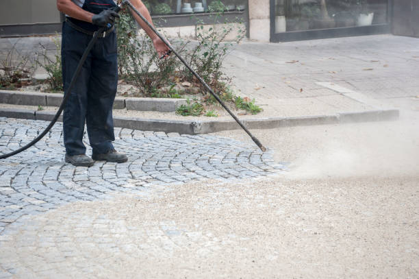 Best Roof Washing  in Newport East, RI