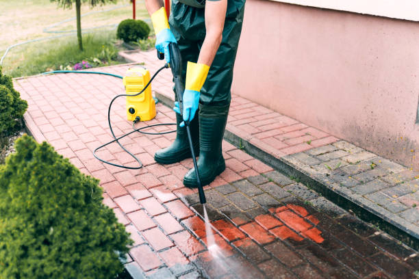 Best Animal Enclosure Cleaning  in Newport East, RI